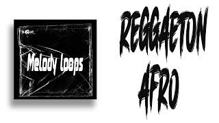 [FREE] AFRO x REGGAETON sample PACK /Free Loop Kit  | Free Download 2021 | Chord & Melody