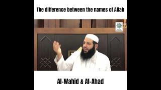 The difference between the names of Allah, Al-Wahid & Al-Ahad | Abu Bakr Zoud