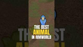 The Best Animal on Rimworld #rimworld #gaming #shorts