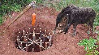 Build Unique Primitive Wild boar Trapping Tool Using Wood & Deep Hole  That Work 100%