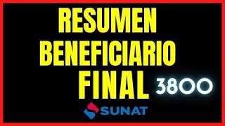 Declaración del Beneficiario Final Formulario Virtual Nº 3800 RESUMIDO