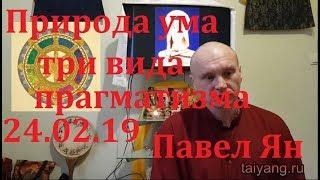 Природа ума,  три вида прагматизма. 24.02.19 Павел Ян