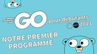 [1/??] Notre premier programme | Tutoriel Français Golang pour débutants 2021