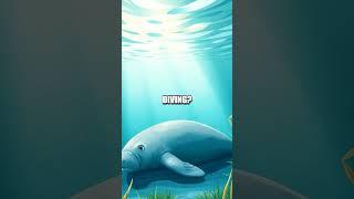 The Hidden Life of the Manatee: Gentle Giants of the Water