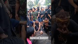 Reaksi Jaranan Muncul Budoyo Beran Lor Ketika Pawang Suwit Suwit #shorts #videoshort