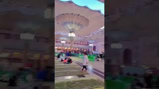 Masjid E Nabawi Beautiful Moments  #shorts #short #shortvideo #islam #islamic #islamicstatus