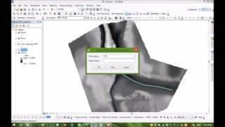 Generating River Geometry data to HEC_RAS by ArcGIS from DEM