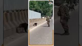 Suspicious object found on Srinagar Baramulla national highway - traffic halted | News9 | #shorts