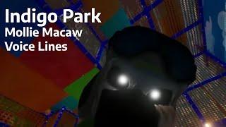 Indigo Park - Mollie Macaw Voice Lines