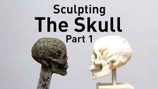 Sculpting The Skull - Part 1