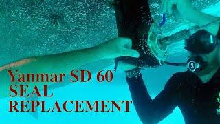 Yanmar SD 60 Saildrive In water Seal Replacement