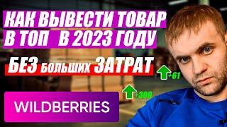 Как попасть в топ Вайлдберриз? Как вывести карточку в топ на Wildberries