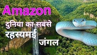 अमेजन जंगल का रहस्य  | fact of Amazon rainforest | #Amazonfacts #worldgyan #worldfacts #hindifacts