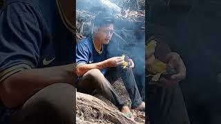 bakar singkong #campingdihutan #asmr