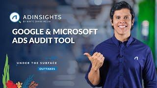 AdInsights   Google & Microsoft Ads Audit Tool