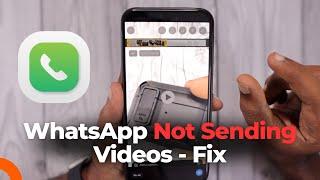 WhatsApp Not Sending Videos Error  How to Fix?