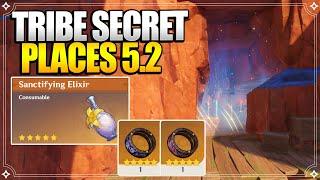 Sanctifying Elixir & Tribe Secret Spaces 5.2 | World Quests & Puzzles【Genshin Impact】