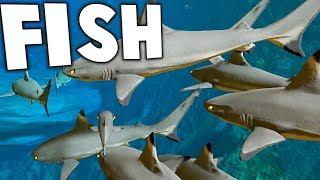BEWARE THE NEW SHARKS! HUGE UPDATE! - Feed and Grow Fish Gameplay