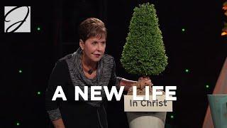 A New Life | Joyce Meyer