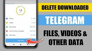 Delete Downloaded Telegram Videos, Files and Other Data in one click