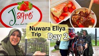 NUWARA ELIYA TRIP DAY 2 / Jagro strawberry farm / Our room tour / Horse Riding / Naveena's Tiny Tips