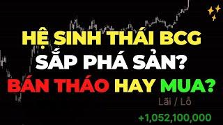 Hệ sinh thái Bamboo Capital BCG sắp phá sản? tại sao BCG ORS TPB bị giảm mạnh? Bán tháo hay mua mạnh