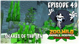 The Saltwater Eel Exhibit - Minecraft SMP: Zoo and Wild Animal (ZAWA) Mod - S3E49