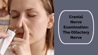 Cranial Nerve Examination: CN 1 Olfactory nerve