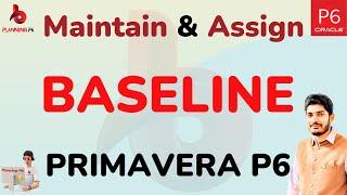 How to Maintain and Assign Baseline in Primavera p6 | Baseline maintaining and assigning in P6 | #p6