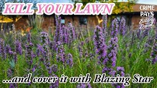 KILL YOUR LAWN : PLANO PRAIRIE GARDEN