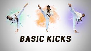 Taekwondo Basic Kicks