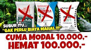 JANGAN LAGI BOROS WOY. TANAMAN SUBUR ITU GA PERLU BIAYA MAHAL | Pupuk Organik