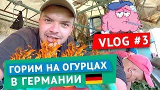 Пекельні робочі дні в Німеччині на огірках. Підписання контракту з роботодавцев