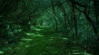 Dark Green Forest (GIF) background || 4k+60 fps