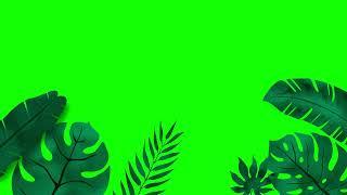 LARGE LEAVES OVERLAY GREEN SCREEN/ USE CHROMA KEY/ FREE DOWNLOAD