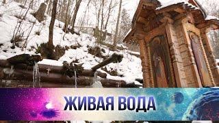 Какие болезни лечит Гремячий ключ под Сергиевым Посадом в Подмосковье?