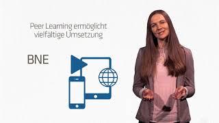 Wie funktioniert Peer-Learning in Schule und Unterricht?