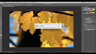 Photoshop: How to create, install, delete, or save color swatches