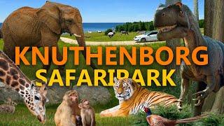 Knuthenborg - der beste Safaripark Europas? | Zoo-Eindruck