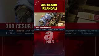 300 cesur İrlandalı! İsrail ordusuna karşı mevzilerini terk etmeyeceğini açıkladı | A Haber