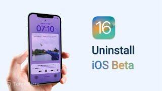 2 Best Ways to Uninstall iOS 16/17 Beta from iPhone