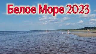 ОНЕГА// БЕЛОЕ МОРЕ 2023 СЕЗОН В АВГУСТЕ