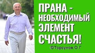 Энергия счастья, или прана, которая нужна нам для жизни! Торсунов лекции.