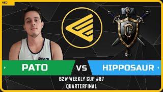 WC3 - [NE] PaTo vs Hipposaur [HU] - Quarterfinal - B2W Weekly Cup #87