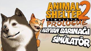 HAYVAN BARINAĞI KURUYORUZ !! SOKAK HAYVANLARINI KURTARIYORUZ | ANIMAL SHELTER 2 SIMULATOR !!