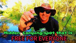 Creek FULL of YABBIES & HUGE FISH !!!! Free Camping area ( Catch Clean Cook )