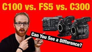 COMPARE: Canon C100 MKii vs  Sony FS5 vs  Canon C300 MKii