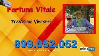 Antonio Vitale -  La Piramide  18.10.2024