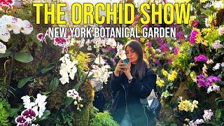 ⁴ᴷ New York Botanical Garden Virtual tour of The Orchid Show 2023: Jeff Leatham's Kaleidoscope