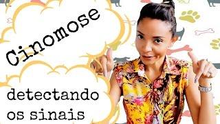 CINOMOSE - DETECTANDO OS SINAIS